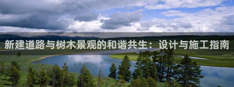 新宝6新宝gg:新建道路与树木景观的和谐共生:设计与施工指南