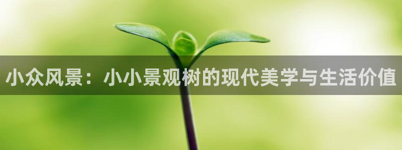 新宝GG桌面:小众风景:小小景观树的现代美学与生活价值