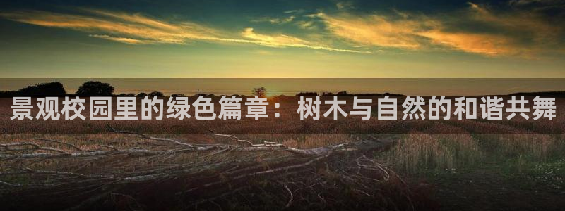 创造奇迹 新宝gg:景观校园里的绿色篇章:树木与自然的和谐共舞