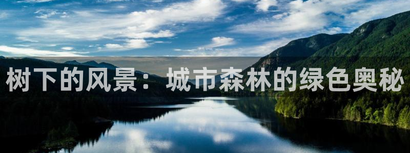 新宝六与新宝gg:树下的风景:城市森林的绿色奥秘