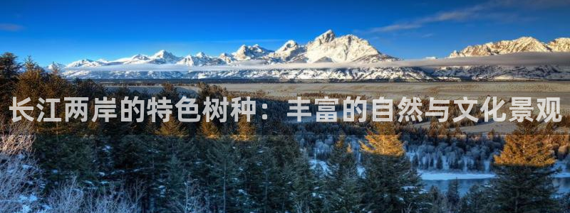 新宝gg真的:长江两岸的特色树种:丰富的自然与文化景观