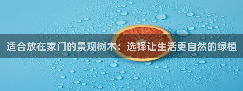 新宝gg 开户:适合放在家门的景观树木:选择让生活更自然的绿植