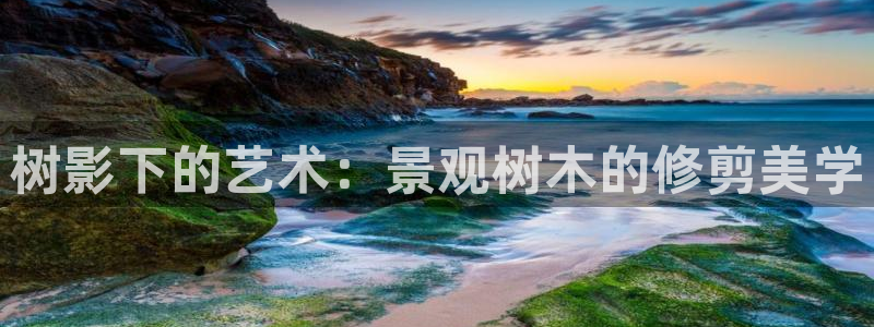 新宝gg客服电话:树影下的艺术:景观树木的修剪美学