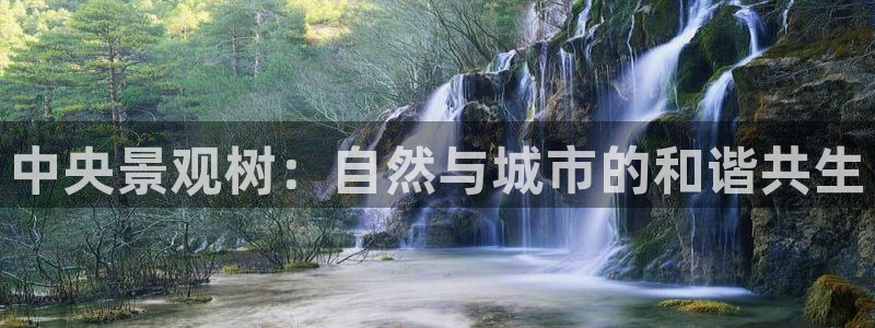 新宝gg代理条件:中央景观树:自然与城市的和谐共生