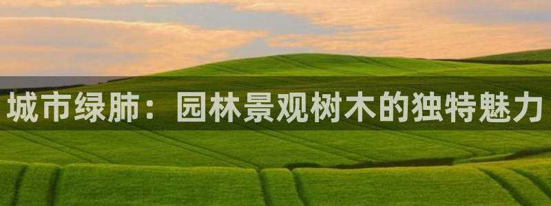 新宝gg客户登录:城市绿肺:园林景观树木的独特魅力