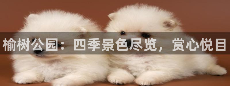 新宝gg线路:榆树公园:四季景色尽览,赏心悦目