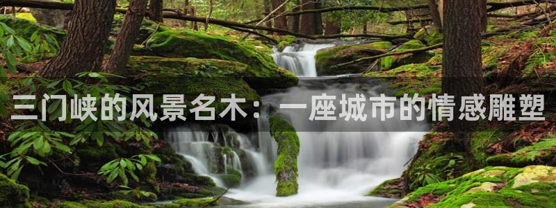 新宝gg 创造奇迹:三门峡的风景名木:一座城市的情感雕塑