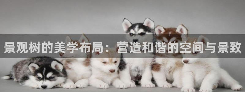 新宝gg如何做到总代理:景观树的美学布局:营造和谐的空间与景致